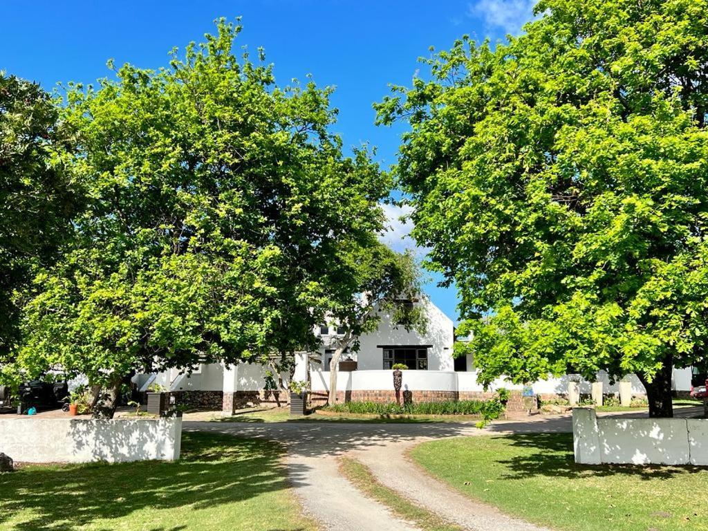 Bitou River Lodge Plettenberg Bay Εξωτερικό φωτογραφία