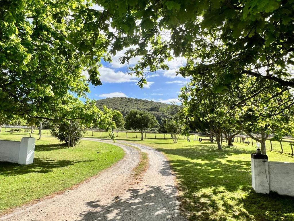 Bitou River Lodge Plettenberg Bay Εξωτερικό φωτογραφία